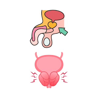 Was ist PSA (prostataspezifisches Antigen)? Werte, Bedeutung und Verlaufskontrolle